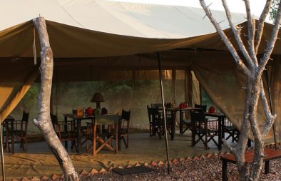 10 Days Uganda Camping Safari