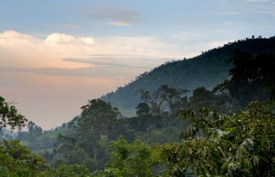 National Parks in Uganda